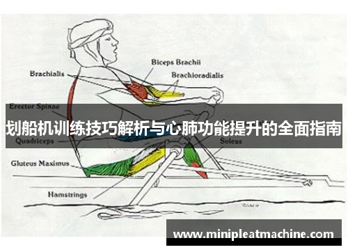 划船机训练技巧解析与心肺功能提升的全面指南