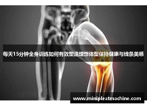每天15分钟全身训练如何有效塑造理想体型保持健康与线条美感