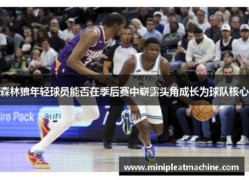 森林狼年轻球员能否在季后赛中崭露头角成长为球队核心