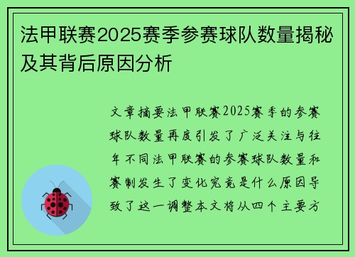 法甲联赛2025赛季参赛球队数量揭秘及其背后原因分析